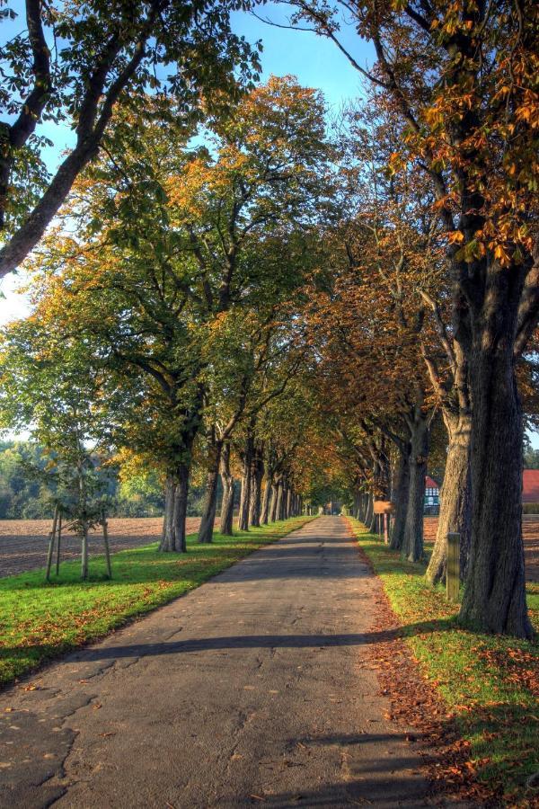 Schlosspark Hollwinkel Preußisch Oldendorf Extérieur photo